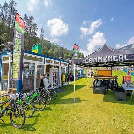 Genepy - * Bardonecchia